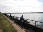 Kliknij by wej¶æ img_4930_t1.jpg