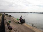 Kliknij by wej¶æ img_4939_t1.jpg